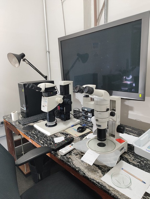 MICROSCOPIOS OPTICOS E LUPAS DE ALTA PRECISAO
